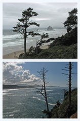 Oregon Coast
