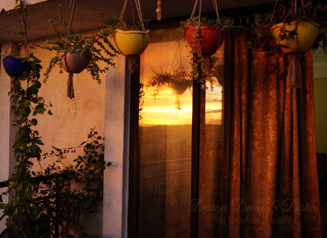 Balcony Garden