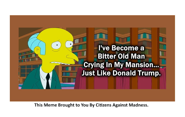 Mr Burns