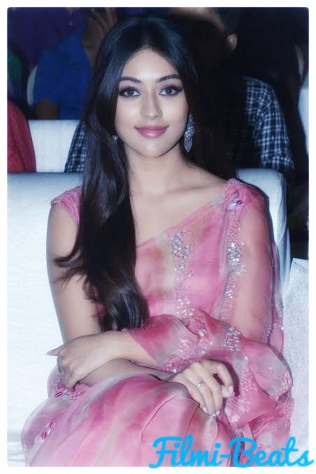 Anu Emmanuel wallpaper And Biography.