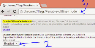 Chrome Browser Offline Webpage setting 