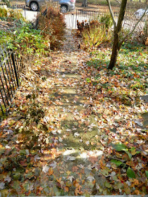 Cabbagetown Toronto Fall Front Yard Garden Cleanup by Paul Jung Gardening Services before