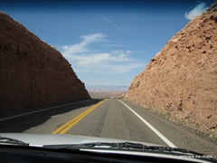 IMG_9955-1