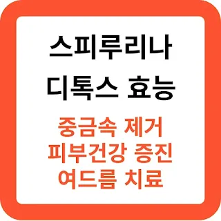 디톡스에-좋은-스피루리나-효능-추천