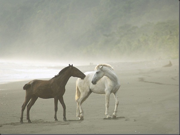 Costa Rica (2)