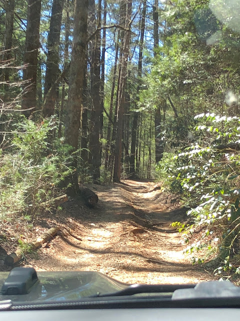 Sarah's Creek Road:  Off Road Trail