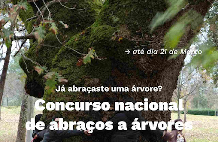 Concurso Nacional de Abraços a árvores