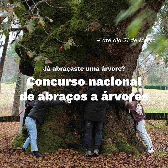 Cartaz alusivo ao Concurso Nacional de Abraços.