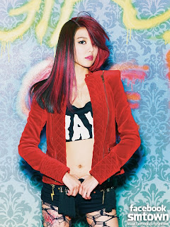 SNSD Sooyoung I Got A Boy Fb Teaser