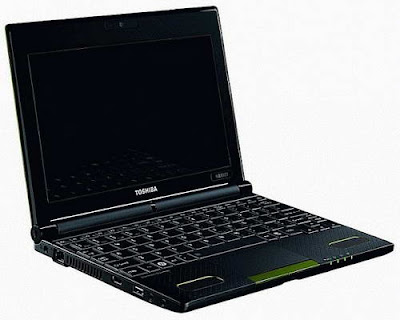 Toshiba NB550D-1004