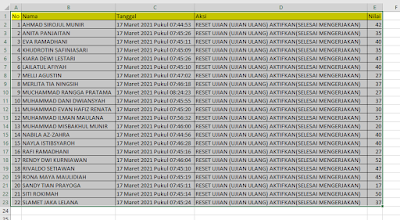 Auto Column Width in Excel