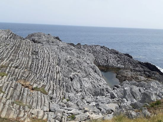 Flysch