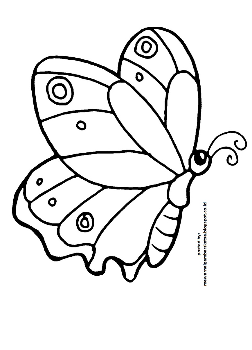  Gambar Toko Online Ladybug Kupu Snail Katak Kartun Hewan 