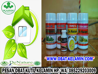 Obat Kutil Kelamin