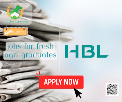 Agri Business Finance Trainee Jobs in HBL 2024