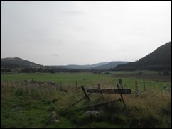 SDC10181