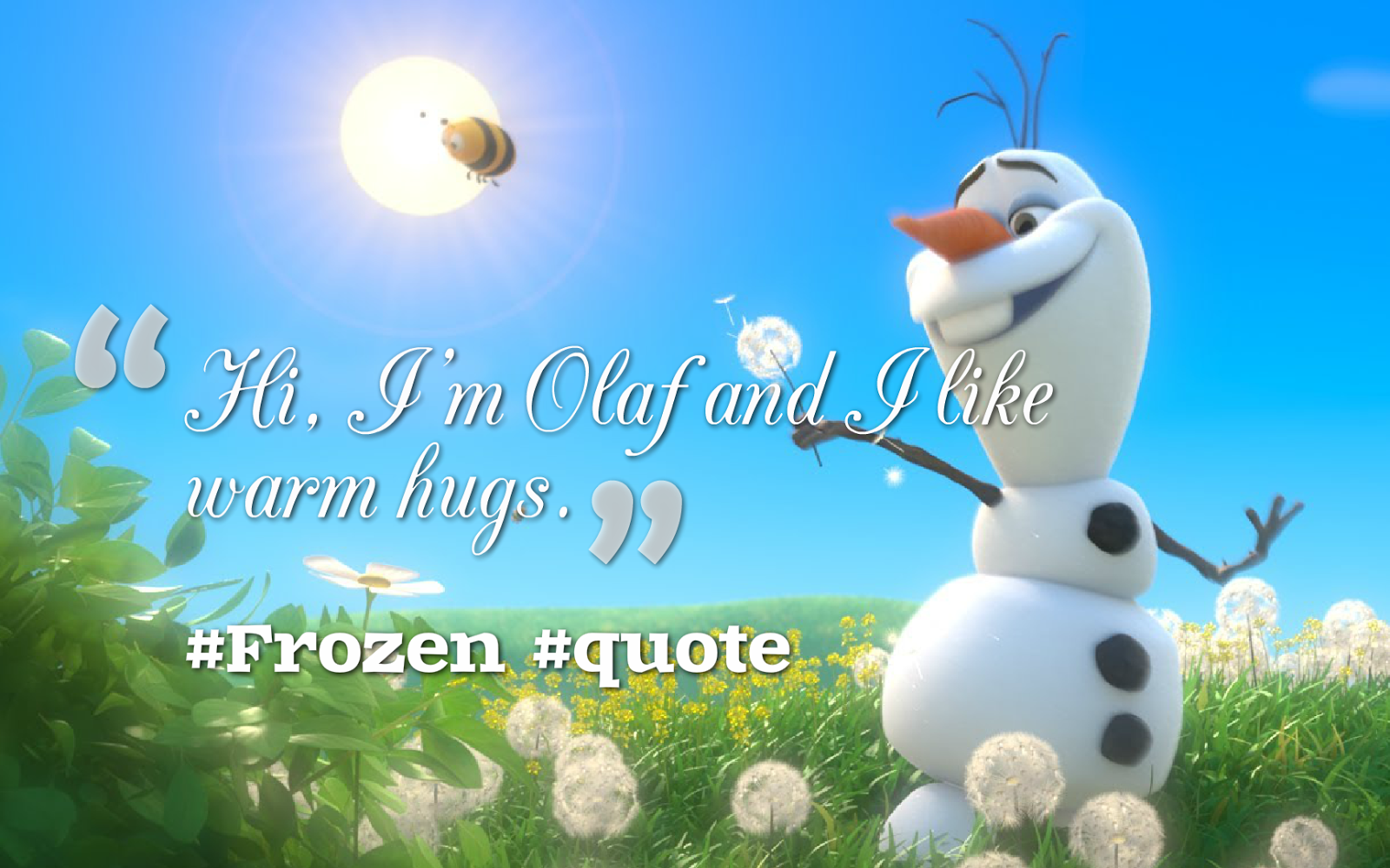 15 Heart-Warming Quotes from 'Frozen' ~ Everything ELICOS Course