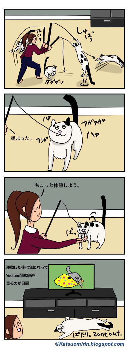 猫との遊び時間