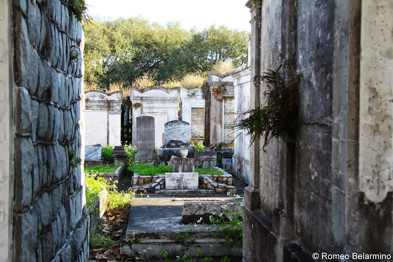 Lafayette Cemetery No. 1 Garden District Walking Tour New Orleans