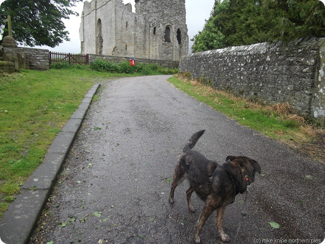 bruno denies damaging the castle
