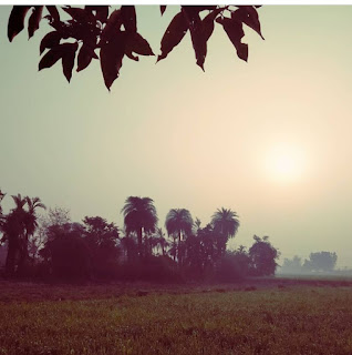 Best time to get vitamin D from sun