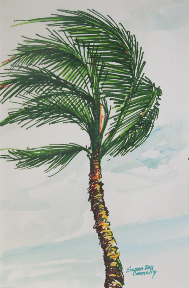 Drawing of a palm tree.