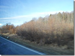 SAM_0059