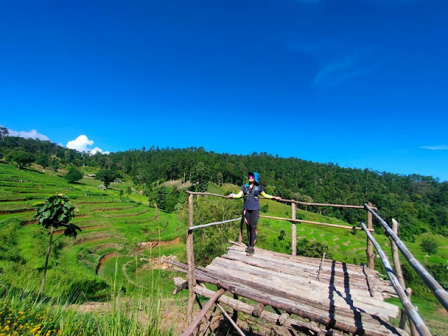 trek in mae wang area, trekking in mae wang area, trek in mae wang national park, trekking in mae wang national park, chiang mai trekking, trekking in chiang mai