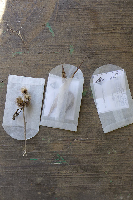 three packets of seeds from spontaneous flora collected in urbanized areas; a project called Next Epoch Seed Library; photo by author