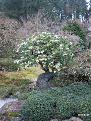 Portland Japanese Garden