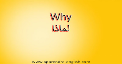 Why لماذا