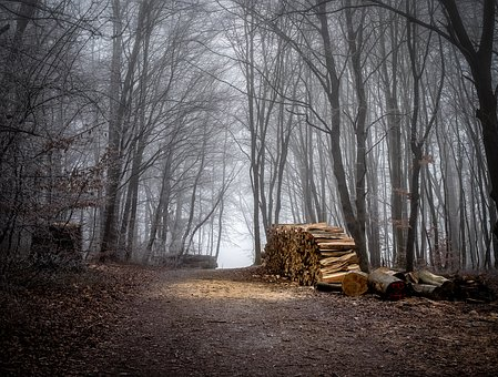 drying the wood