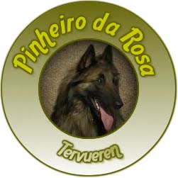 Pastores Belgas Tervueren
