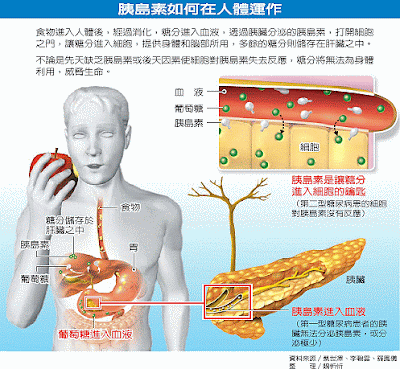   私人健身教練, 健身教練, 健身教學, Francis Lam, 私人健身教練Francis Lam,  健身訓練, 增肌, High Fitness, 健身室, 健身中心, 減肥, 瘦身, 消脂, work out, body building, muscle mass, fitness, diet, gym