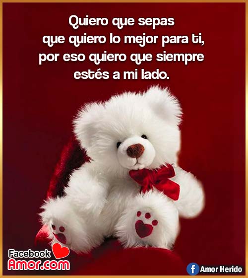 peluche de amor con frases