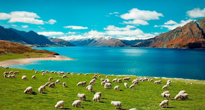 New Zealand - điểm đến lý tưởng để khởi đầu một hành trình mới