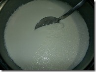 coalhada_fresca_1 - Cópia