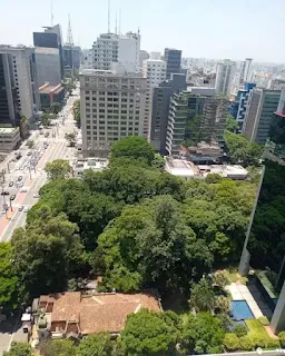 Psicóloga perto da  Vila Mariana | São Paulo
