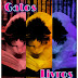 Gatos & Livros