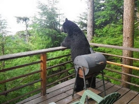 Funny animals of the week - 14 February 2014 (40 pics), bear stands in the porch