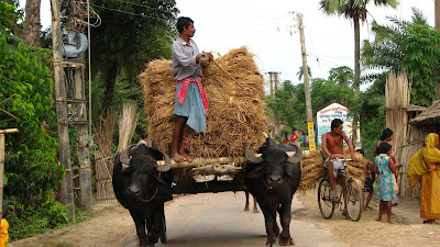  It is non entirely the fourth dimension when Goddess Durga returns to her fathers delineate of piece of occupation solid  IndiabesttravelMap; Durga Puja