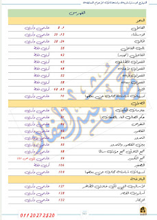 مذكرة اللغة العربية للصف الثاني الثانوي الترم الأول الأزهر الشريف 2024