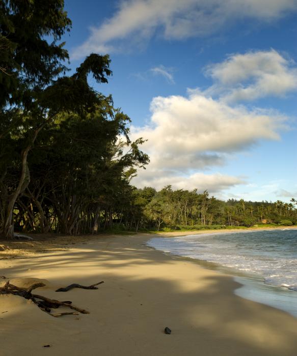 beautiful beaches wallpaper. Beach On Oahu Hawaii Brendan Reals