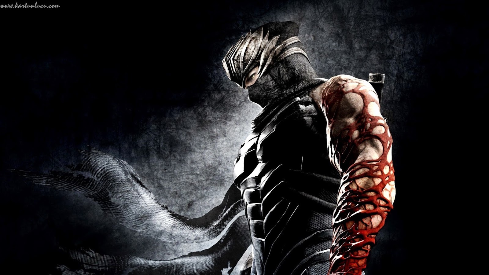 7 WALLPAPER KEREN NINJA GAIDEN Gambar Kartun Lucu Dan Wallpaper