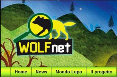 WOLF NET