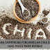 Kesan Sampingan Pengambilan Chia Seed Yang Ramai Orang Tidak Ketahui