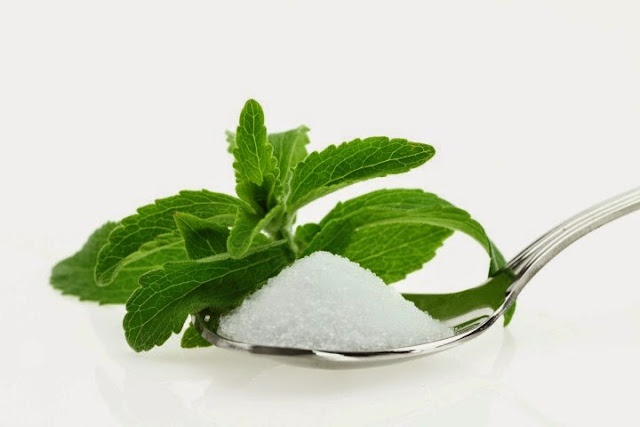 Control Your Blood Sugar Levels with Stevia, The Sugar Substitute Sweetener