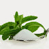 Control Your Blood Sugar Levels with Stevia, The Sugar Substitute Sweetener