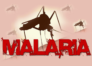 الملاريا malaria