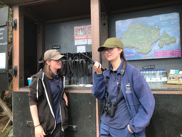 Two long-term volunteers wearing caps and standing in front of Skomer's sales point